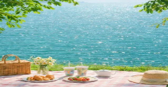 Picnic Moment PKG